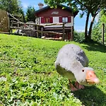 Le Petit Vent Holiday home *