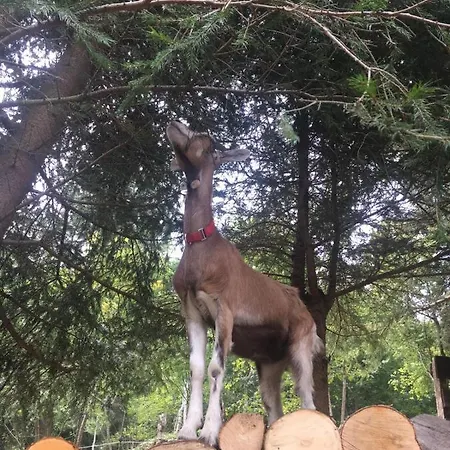 Σπίτι διακοπών Le Petit Vent *