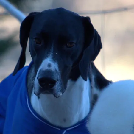 Le Petit Vent * Sormano