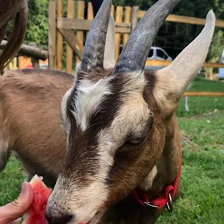 Σπίτι διακοπών Le Petit Vent Sormano