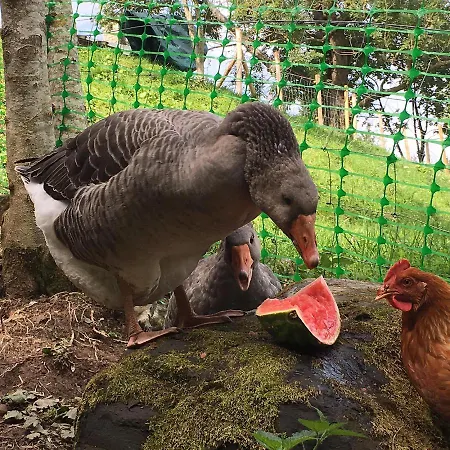 Le Petit Vent * Sormano