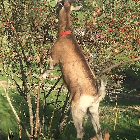 Σπίτι διακοπών Le Petit Vent