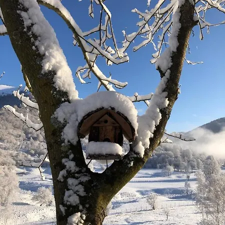 Alojamento de Acomodação e Pequeno-almoço Le Petit Vent Sormano