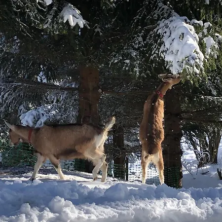 Le Petit Vent Sormano