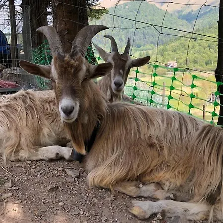 Le Petit Vent Σπίτι διακοπών Sormano