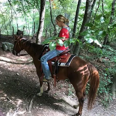 Le Petit Vent Σπίτι διακοπών Sormano