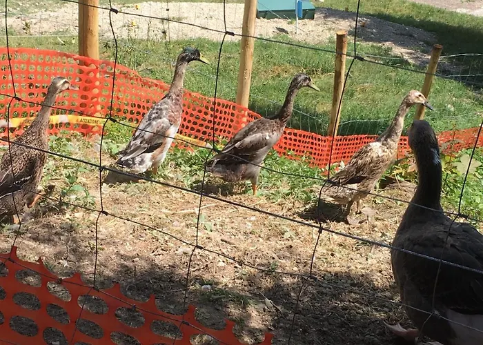 Le Petit Vent Sormano