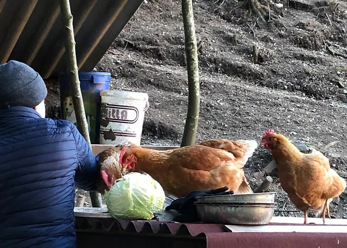 Le Petit Vent * Sormano