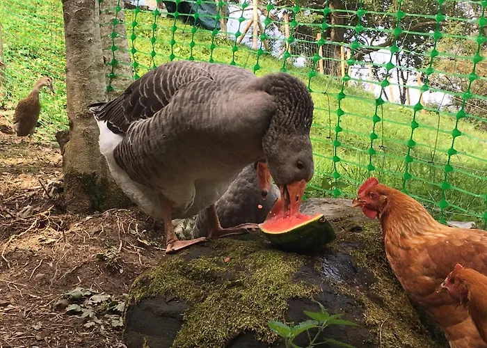 Le Petit Vent בית נופש *