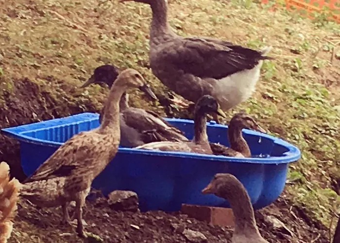 Le Petit Vent Prázdninový dům Sormano