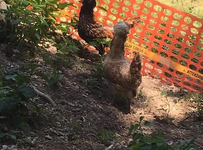 Prázdninový dům Le Petit Vent Sormano