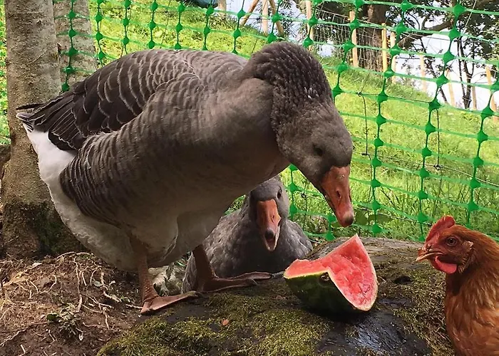 Le Petit Vent * Sormano