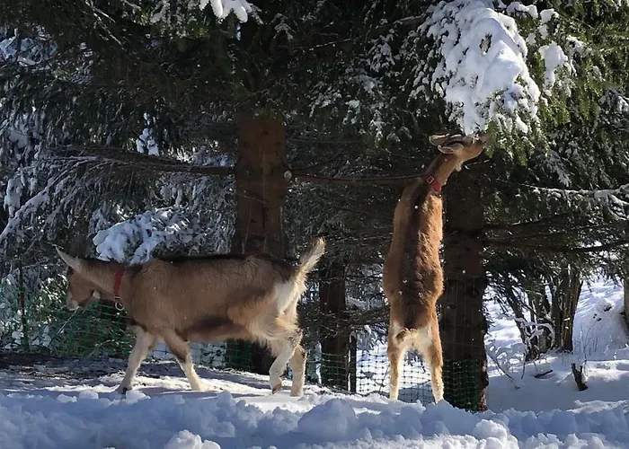 Le Petit Vent Sormano