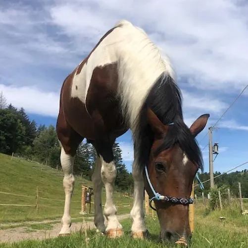 Le Petit Vent * Sormano