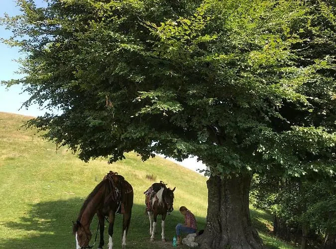 Le Petit Vent * Sormano