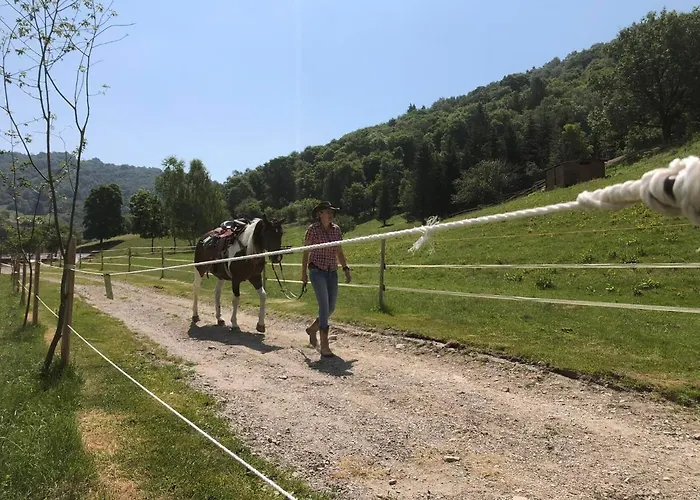Le Petit Vent Sormano