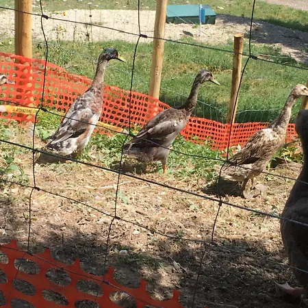 Le Petit Vent Sormano