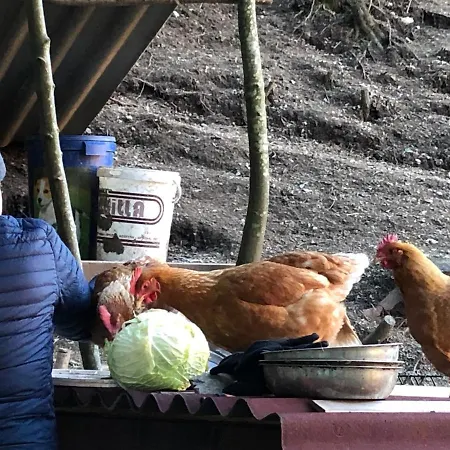 Le Petit Vent * Sormano