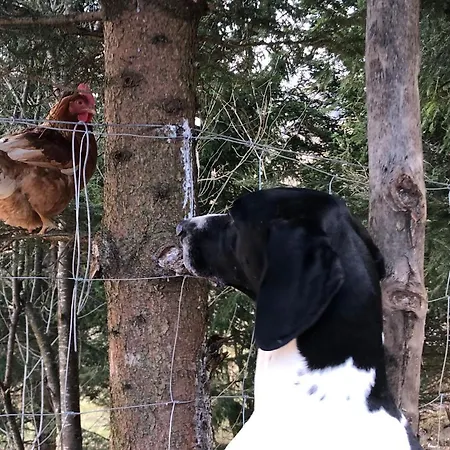 Le Petit Vent Semesterbostad *