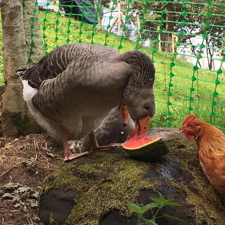 Le Petit Vent Semesterbostad *