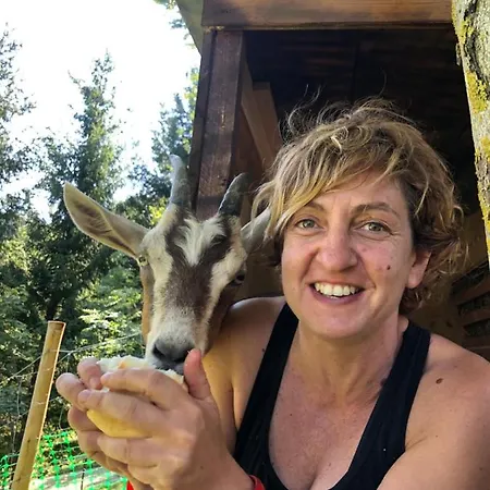 Le Petit Vent Sormano