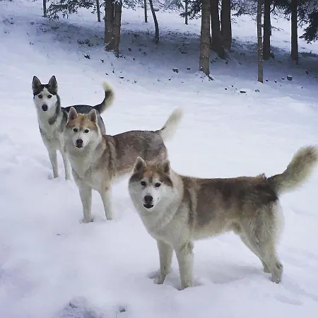 Le Petit Vent Semesterbostad *