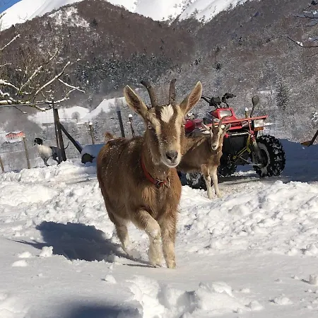 Semesterbostad Le Petit Vent
