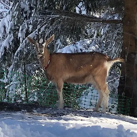 Semesterbostad Le Petit Vent