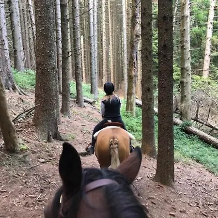 Le Petit Vent Semesterbostad *