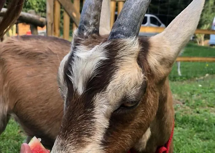 Hébergement de vacances Le Petit Vent Sormano