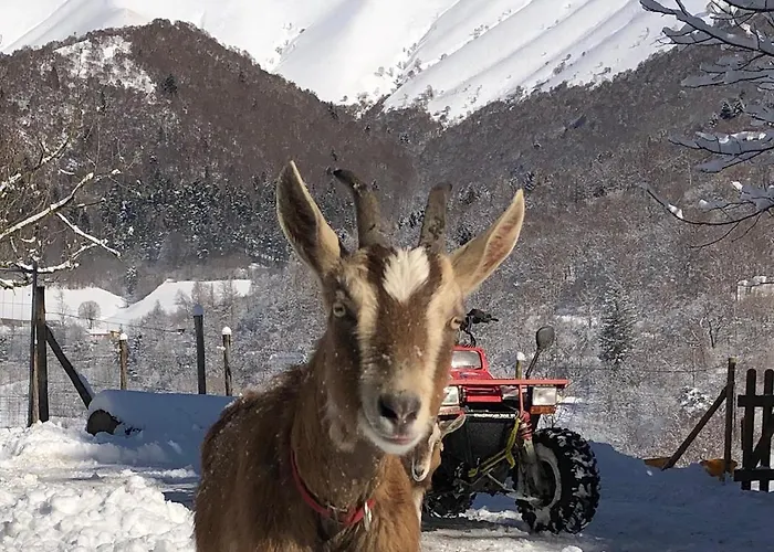 Le Petit Vent Hébergement de vacances *