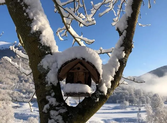 Hébergement de vacances Le Petit Vent Sormano