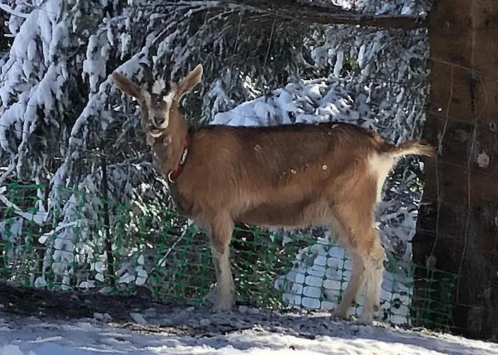Hébergement de vacances Le Petit Vent