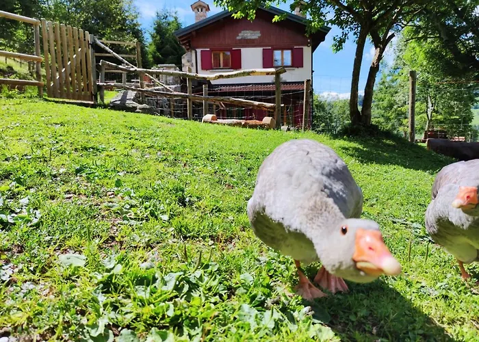 Le Petit Vent Hébergement de vacances *