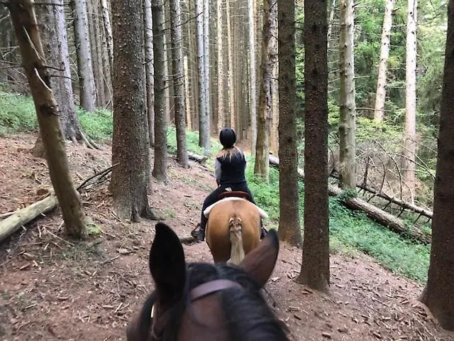 Le Petit Vent Hébergement de vacances *