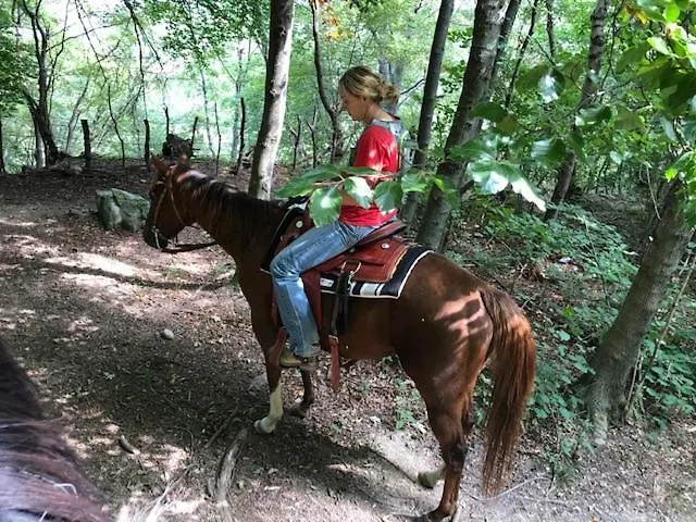 Le Petit Vent Hébergement de vacances Sormano
