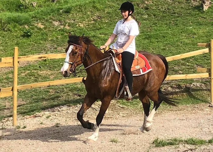 Le Petit Vent Hébergement de vacances