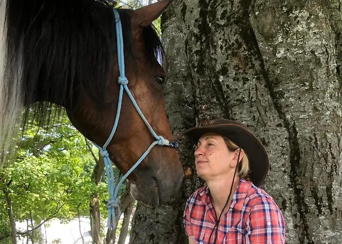 Le Petit Vent Hébergement de vacances *