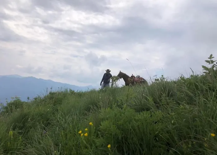 Le Petit Vent Hébergement de vacances