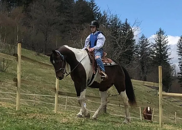 펜션 Le Petit Vent