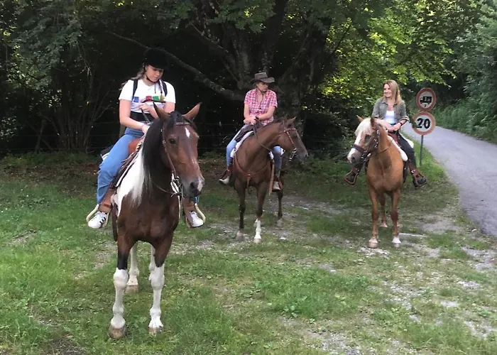 Le Petit Vent 펜션